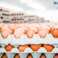 Canada has more data about eggs than it does about charities